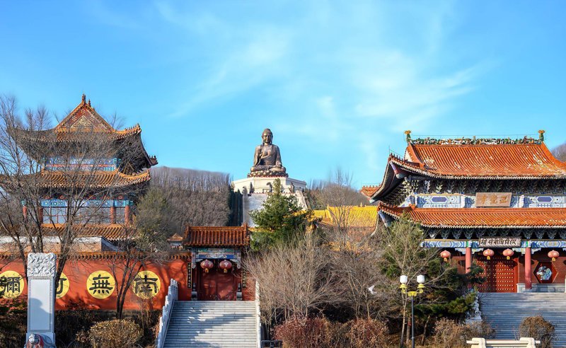 禅修活动：开启心灵之旅